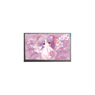 Goede prijs 9,0 inch JJ090IA-01G 1280*720 LVDS lcd-schermmodule online