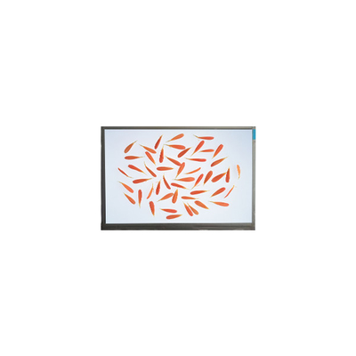 Goede prijs nieuwe 6,9 inch M069AWA1 R0 1280*720 LCD-scherm lcd-paneel online
