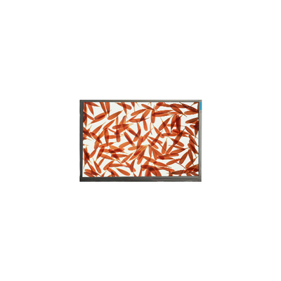 Goede prijs M090AWA6 R1 1280*720 9,0 inch LCD-scherm voor buitenshuis hoge helderheid online
