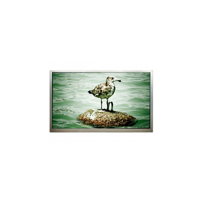 Goede prijs 1920*1080 32,0 inch PT320CT01-2 LVDS LCD-scherm LCD-display online