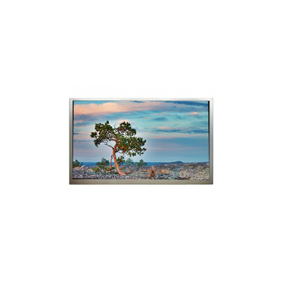 Goede prijs SN245CT01-1 24,5 inch 1920*1080 3500:1 LCD scherm online