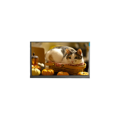 Goede prijs N140BGE-P23 14,0 inch 60Hz 262K LCD scherm online