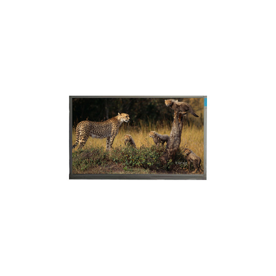 Goede prijs 1920*1080 14,0 inch N140HCA-E5B WLED LCD module online