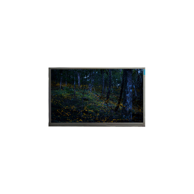 Goede prijs ORIGINALE 15,6 inch N156BGE-P21 1366*768 40 pin LCD scherm online