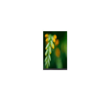 Goede prijs P080DCE-3F0 800*1280 8,0 inch LCD-scherm met Pad Tablet online
