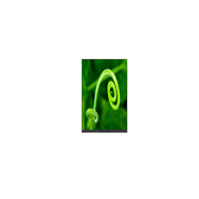 Goede prijs Warm verkopen 8.0 inch P080DCZ-3Z1 16.7M LCD-schermpaneel online