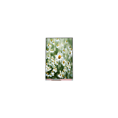Goede prijs 1080*1920 5,5 inch PP055IA-03N LCD-display module Panel online