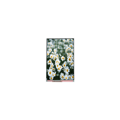 Goede prijs originele 1440*2560 PP055IA-09A 5,5 inch LCD-scherm online