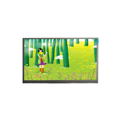 Goede prijs S550DJJ-Q01 55,0 inch 3840*2160 LCD-schermmodule online