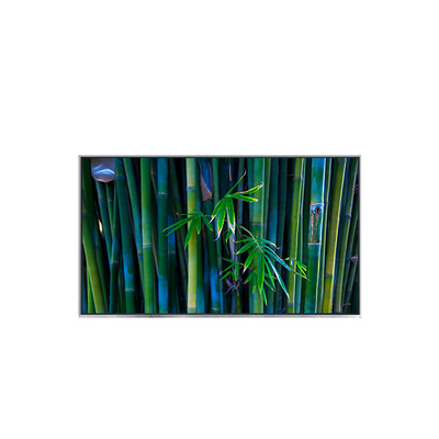 Goede prijs B116XAT01.0 11,6 inch 1366*768 tft lcd display module online