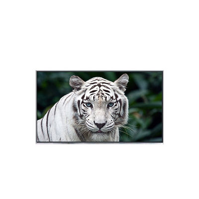 Goede prijs B121EW05 V2 12,1 inch nieuw aangekomen lcd-scherm voor laptop online