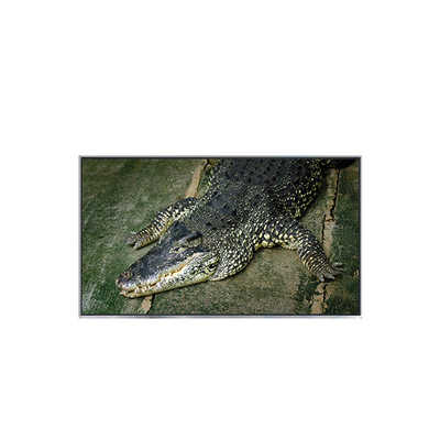 Goede prijs B133EW01 V7 13,3 inch 1280*800 LCD Display Panel voor Laptop online