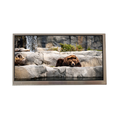 Goede prijs C080VAN02.3 8,0 inch WLED LCD scherm online