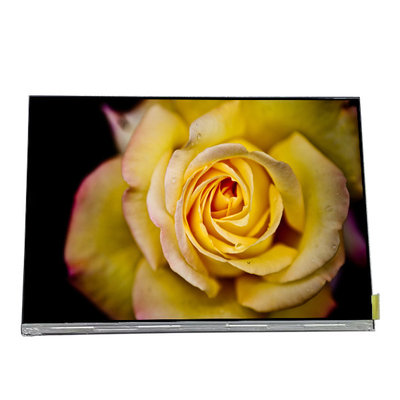 Goede prijs G100UAN01.0 10,0 inch 1800*1200 LCD-scherm online