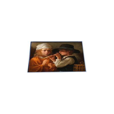Goede prijs P157RAN02.0 15,7 inch 960*960 TFT LCD-scherm online