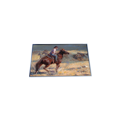 Goede prijs P294IVN01.1 29,4 inch 1920*720 LCD-schermpaneel online