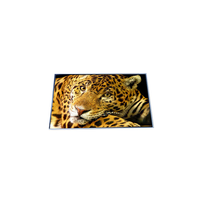 Goede prijs P500QVF02.0 50,0 inch 4K LCD scherm online