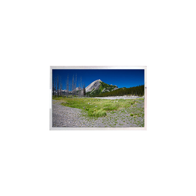 Goede prijs P270QAN02.0 CELL 27,0 inch LCD-scherm voor digitale signage online