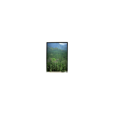 Goede prijs LS055B3SX04Z 5,5 inch 1920*3664 TFT LCD-schermpaneel online