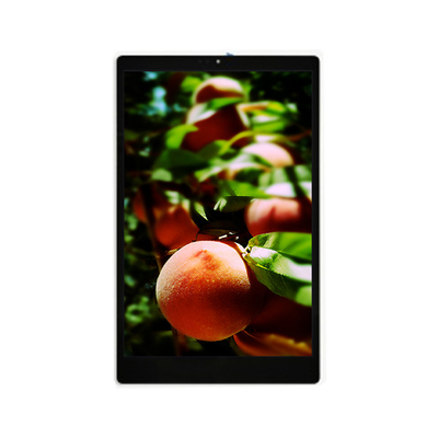 Goede prijs Nieuw 800*1280 TV101WXU-N91 10,1 inch LCD Display Panel online