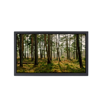 Goede prijs NV160WUM-N41 16,0 inch lcd-scherm scherm voor laptop online