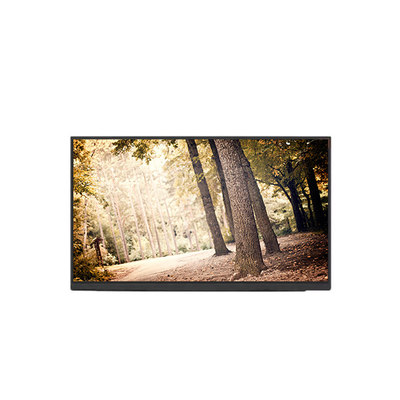 Goede prijs NE160QDM-N62 V8.0 16,0 inch LCD-schermpaneel voor laptop online