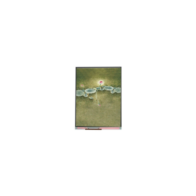 Goede prijs 6.5 inch LCD-schermpaneel 720*1600 LCD-module U065SWR6-0 online