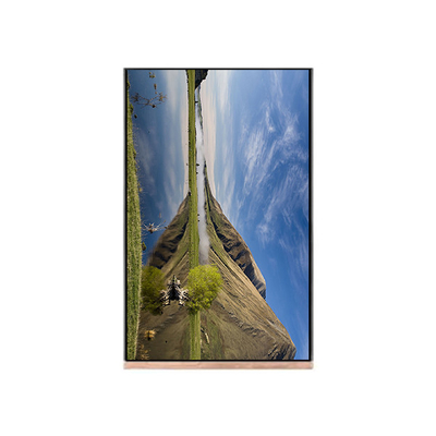 Goede prijs NV103WUM-N61 10,3 inch LCD-scherm 1200*1920 online