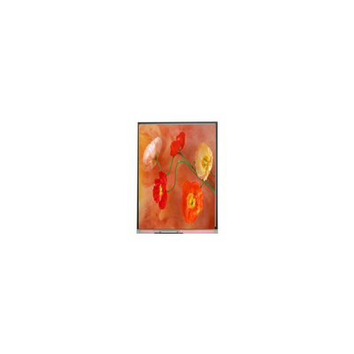 Goede prijs Originele C070AWP9 R0 7,0 inch LCD-displaypaneel online