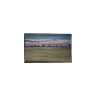 Goede prijs U060SWR8-0 6,0 inch 720*1440 LCD-scherm voor mobiele telefoon online