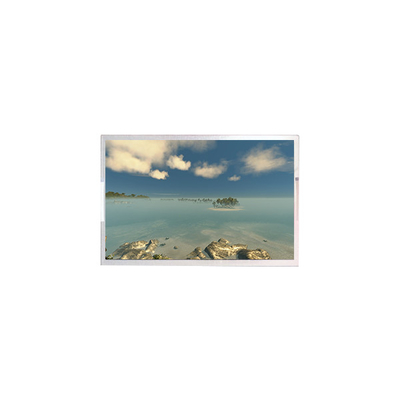 Goede prijs 10.1 inch 1920*1080 LCD Monitor Screen AV101FHT-T10-28P0 online