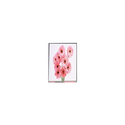 Goede prijs 6.1 inch C061SWR3-0 720*1560 LCD-scherm voor mobiele telefoon online