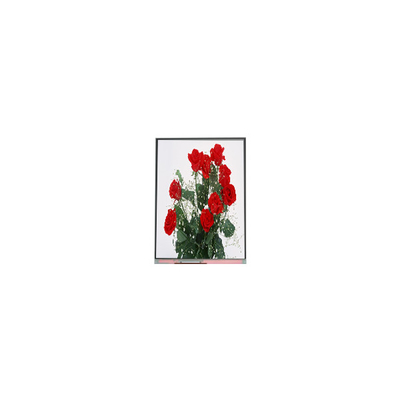 Goede prijs C065SWR1-0 6,5 inch lcd-schermpaneel 720*1560 lcd-scherm online