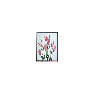 Goede prijs 5.7 inch 720*1520 C057SWR2-0 lcd scherm voor mobiele telefoon online