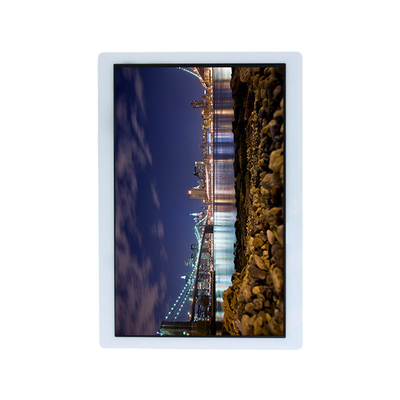 Goede prijs TV101WUM-LL3 10,1 inch 1200*1920 LCD scherm voor Pad Tablet online