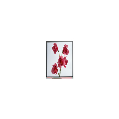 Goede prijs 480*960 C060SWY7-0 6,0 inch LCD-scherm online