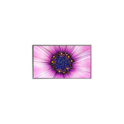 Goede prijs 7.0 inch TT070WVM-NW1 800*480 LCD-scherm voor huishoudelijk apparaat online