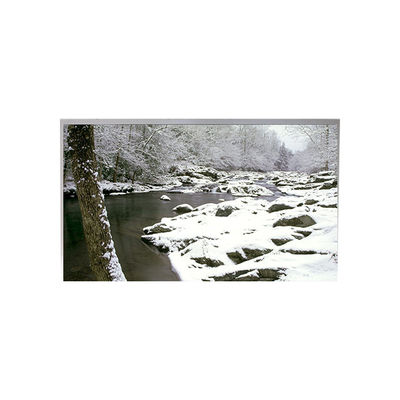 Goede prijs TA055VGHM01-02 5,5 inch 1080*1920 LCD-schermmonitor online