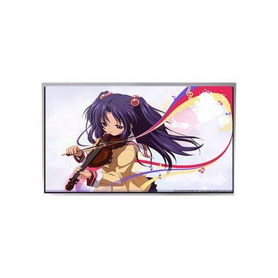 Goede prijs TM101JVKP01-00 10,1 inch 1280*720 LCD scherm online