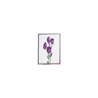 Goede prijs C057SWR1-1 5,7 inch 720*1440 LCD schermpaneel voor telefoon online