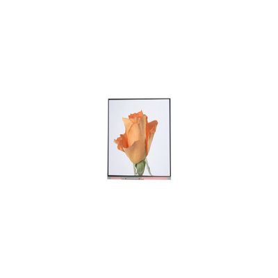 Goede prijs 720*1280 C052SWA2-1 5,2 inch LCD-scherm voor telefoon online