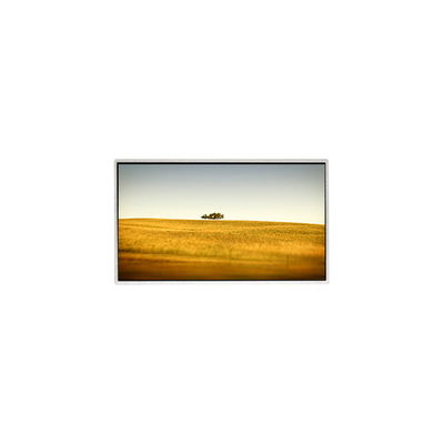 Goede prijs Warm verkopen 10,1 inch TT101WSQ-N10 1024*600 LCD-scherm voor Netbook PC online