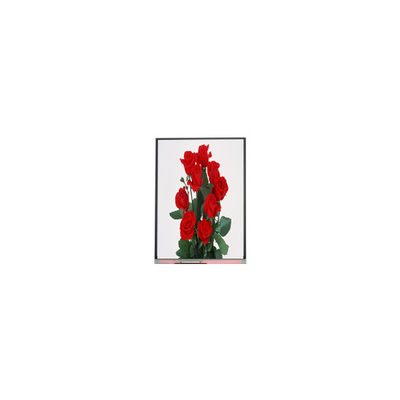 Goede prijs Nieuwe 6,2 inch C062SWP1-1 800*480 LCD-scherm online