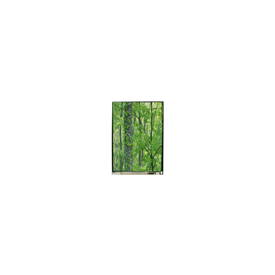 Goede prijs LS055D1SX04 5,5 inch 4K LCD-scherm Originele LCD-paneel online