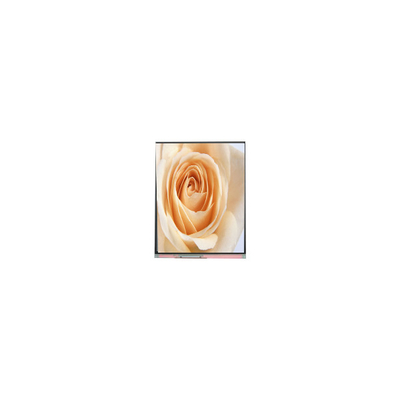 Goede prijs C050SWAF-0 5,0 inch 720*1280 LCD schermpaneel online