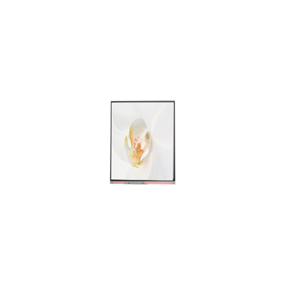 Goede prijs C050SWYD-2 5,0 inch 480*854 LCD scherm online
