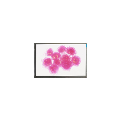 Goede prijs F116NWR4-0 11,6 inch 1366*768 lcd-schermpaneel online