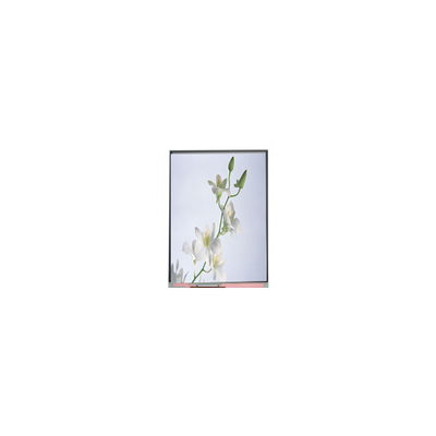 Goede prijs C060SWZ1-0 NUWE 6,0 inch 540*960 LCD-scherm online