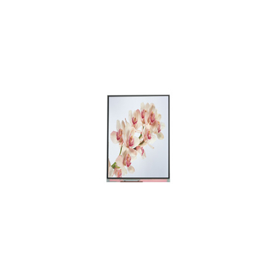 Goede prijs C060SWA4-0 NUWE 6,0 inch IPS LCD-scherm online