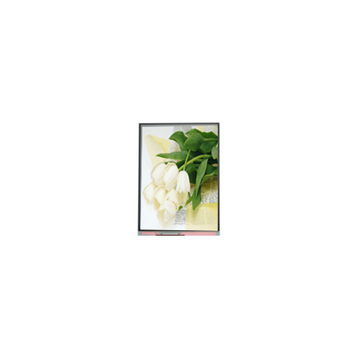 Goede prijs 5.5 inch C055SWY2 R0 LCD-schermpaneel online